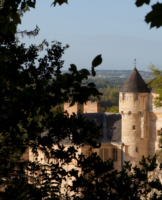 Chateau De La Roche Guyon Histoire