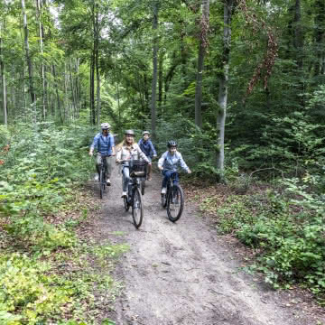 Famille en balade à vélo dans la forêt
