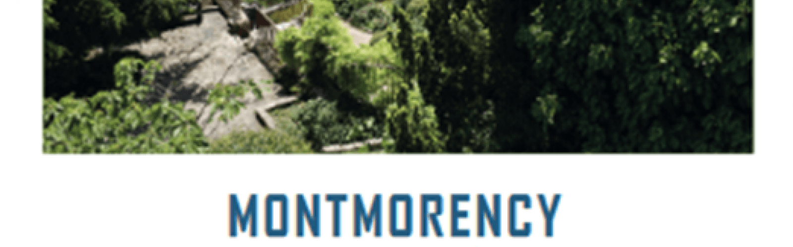 Visite de Montmorency à travers les âges