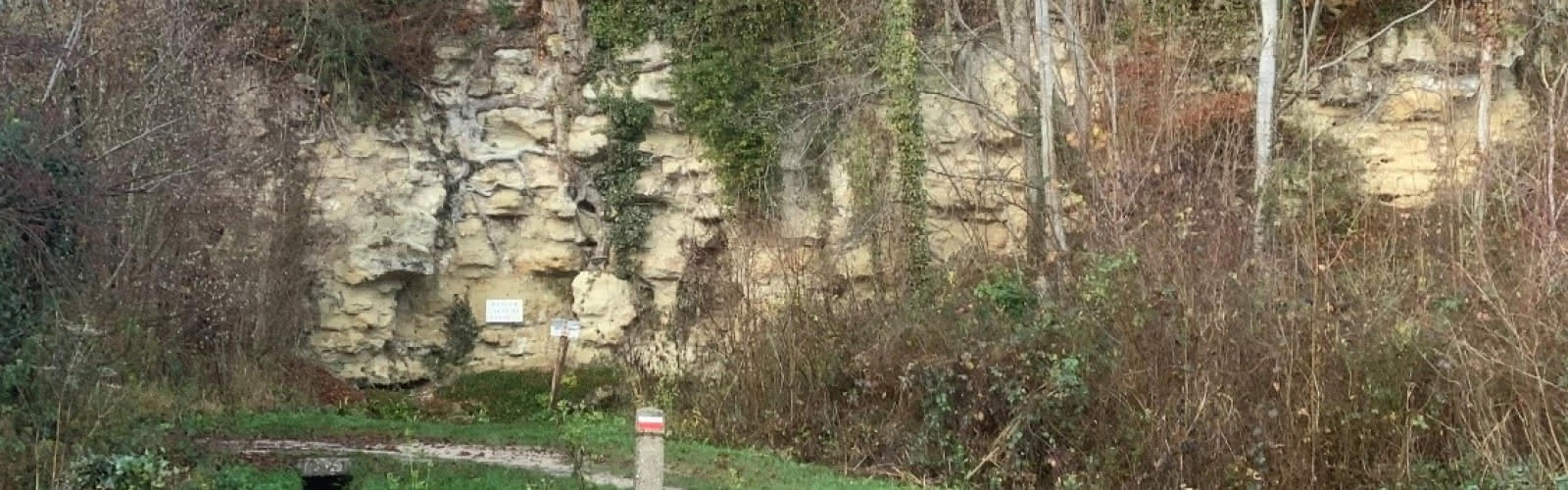 La source de la Cressonnière, issue du calcaire grossier du Lutétien