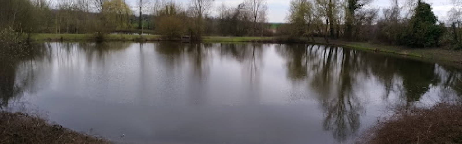 Les étangs de Saint Witz
