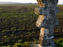 Photo d'une croix pâtée face à un champ à Guiry-en-Vexin dans le parc naturel régional français du Vexin